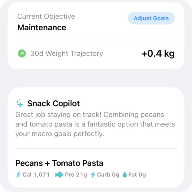 HeyMacro Planner Copilot